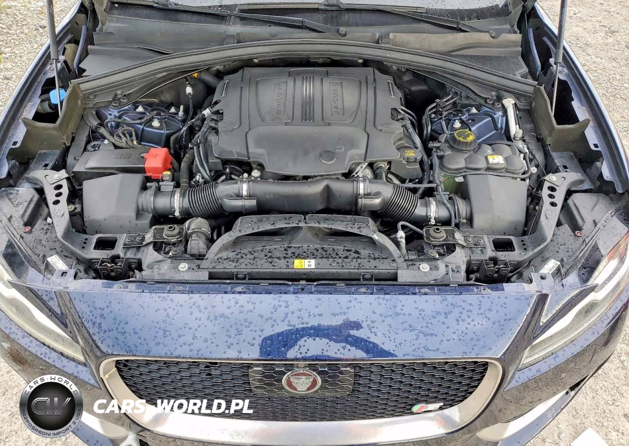 2018 Jaguar F-Pace S VIN:SADCM2FV1JA202670 - 12