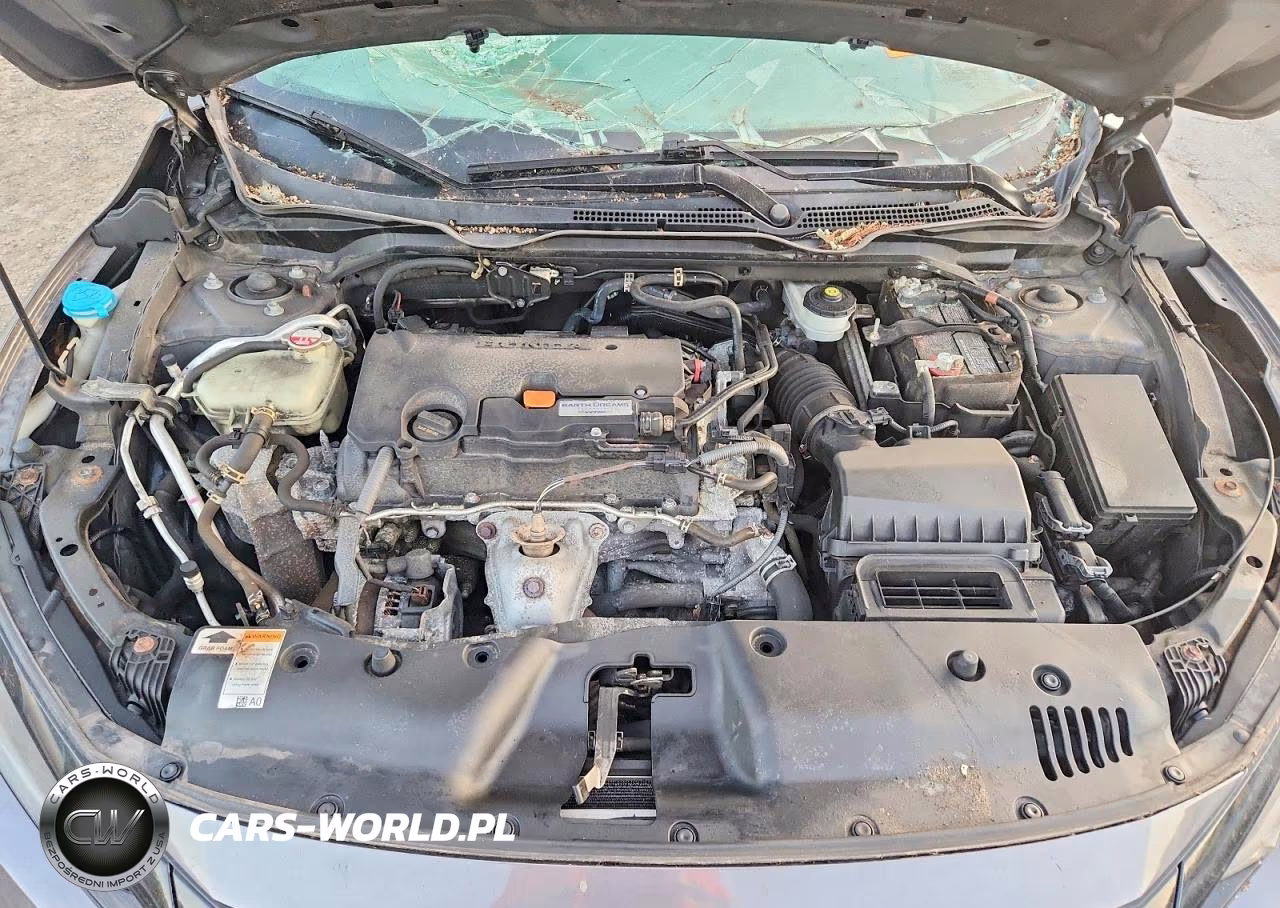 2019 Honda Civic Sport VIN:2HGFC2F88KH502832 - 11