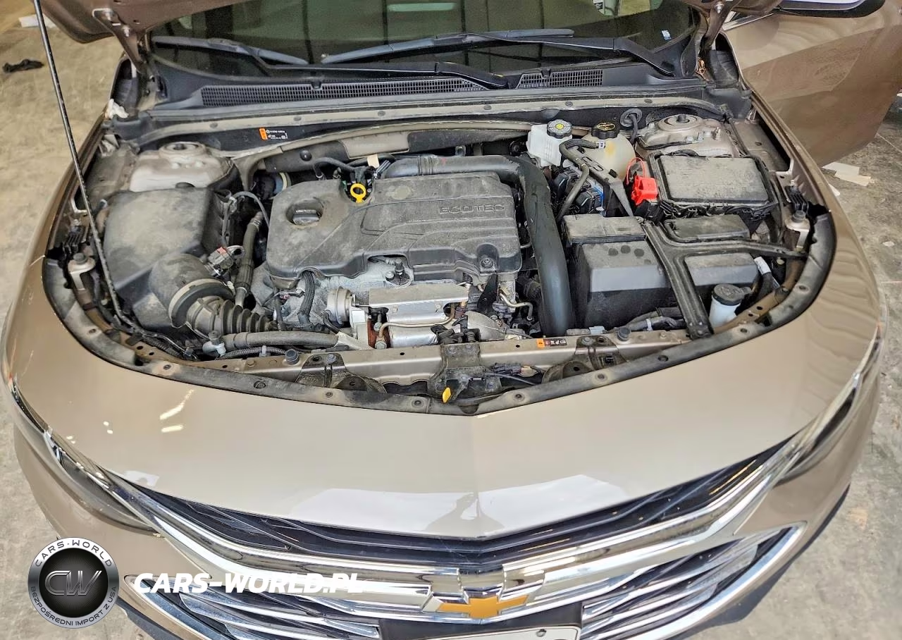 2024 Chevrolet Malibu Lt VIN:1G1ZD5ST9RF216724 - 11
