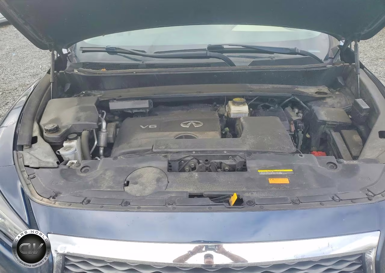 2019 Infiniti Qx60 Pure VIN:5N1DL0MM7KC507576 - 12