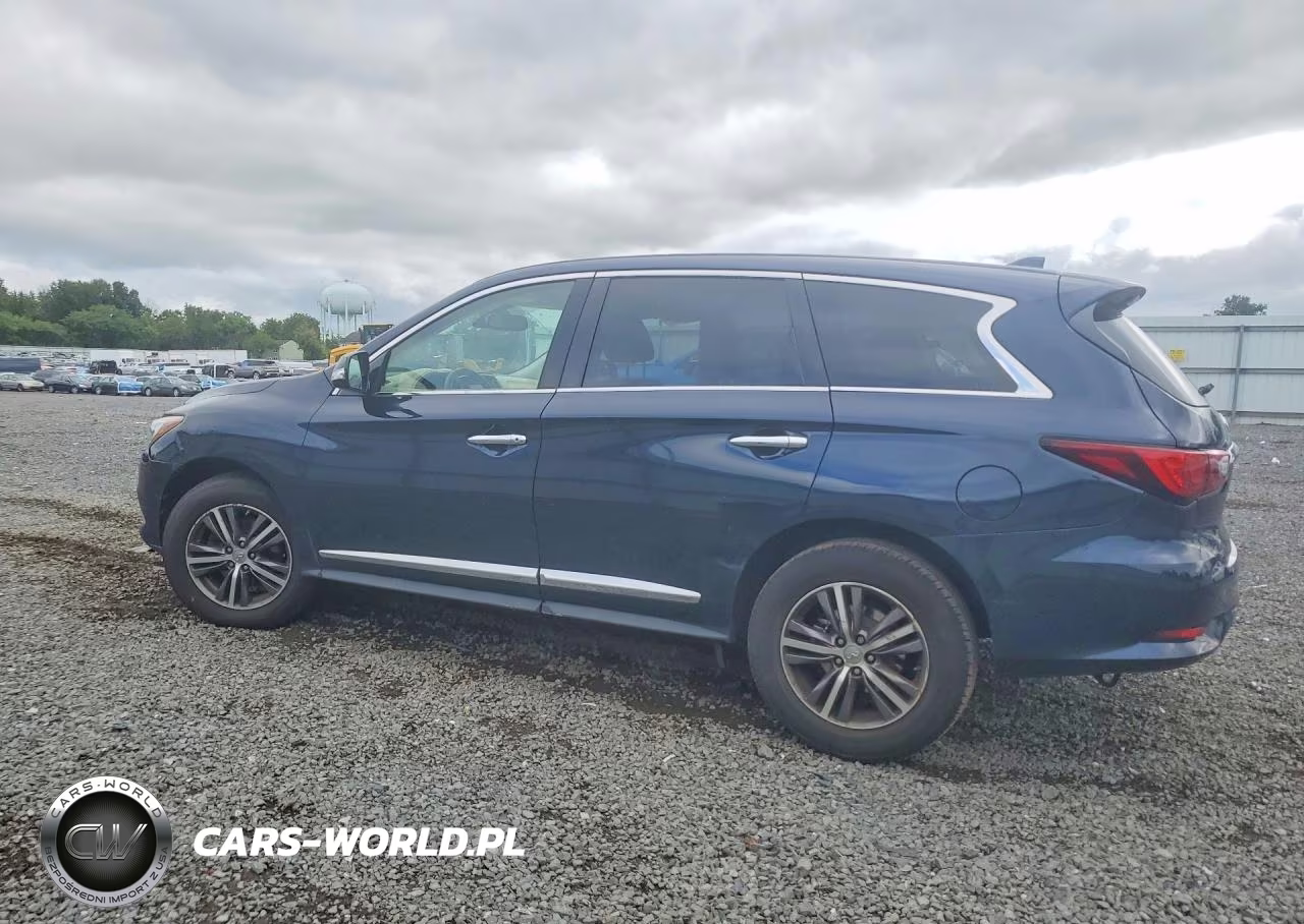 2019 Infiniti Qx60 Pure VIN:5N1DL0MM7KC507576 - 2