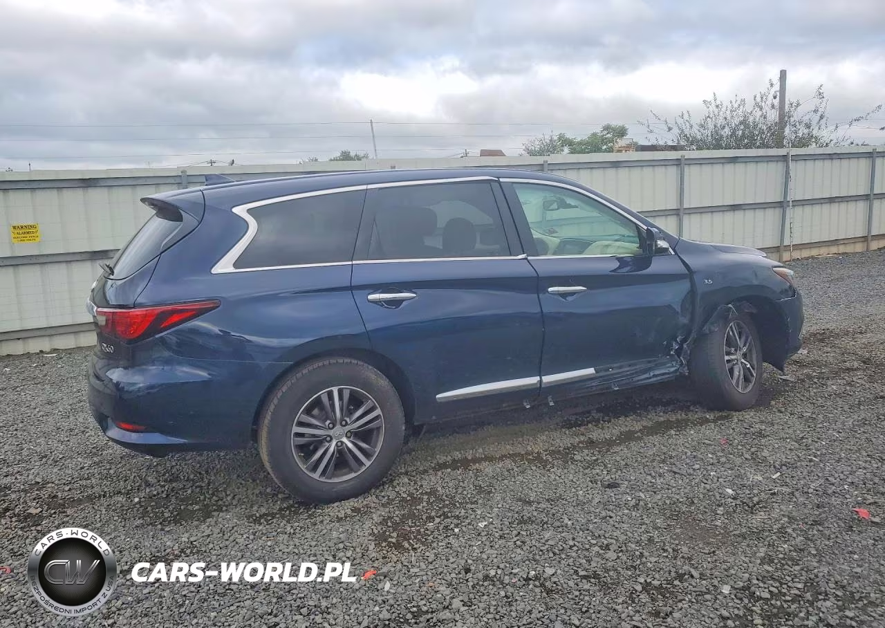 2019 Infiniti Qx60 Pure VIN:5N1DL0MM7KC507576 - 3