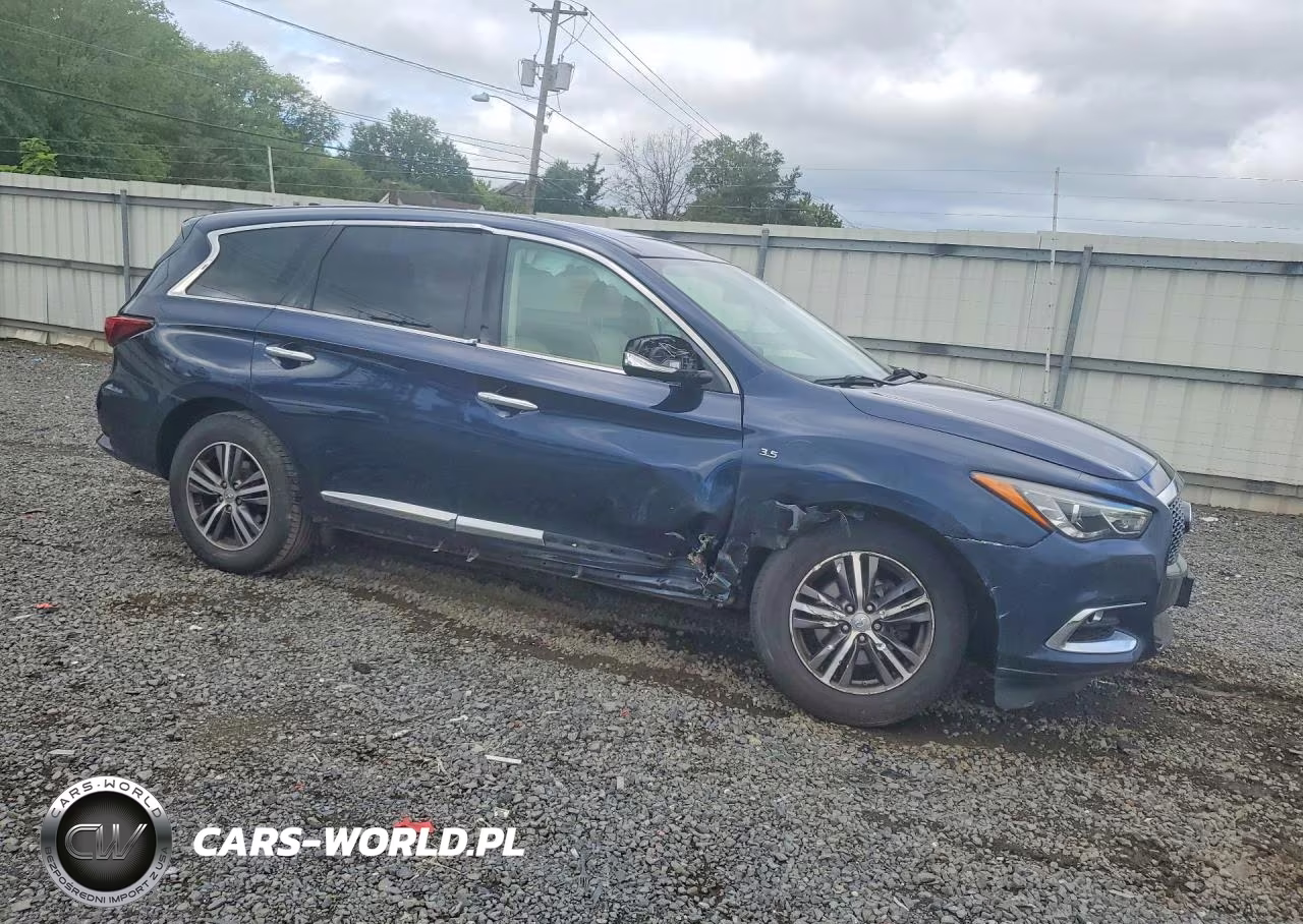 2019 Infiniti Qx60 Pure VIN:5N1DL0MM7KC507576 - 4