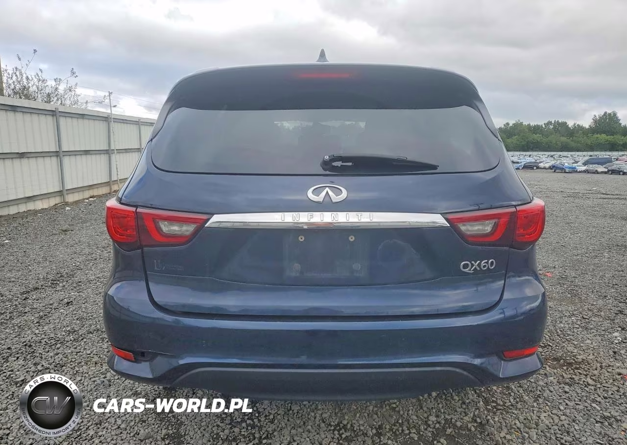 2019 Infiniti Qx60 Pure VIN:5N1DL0MM7KC507576 - 6