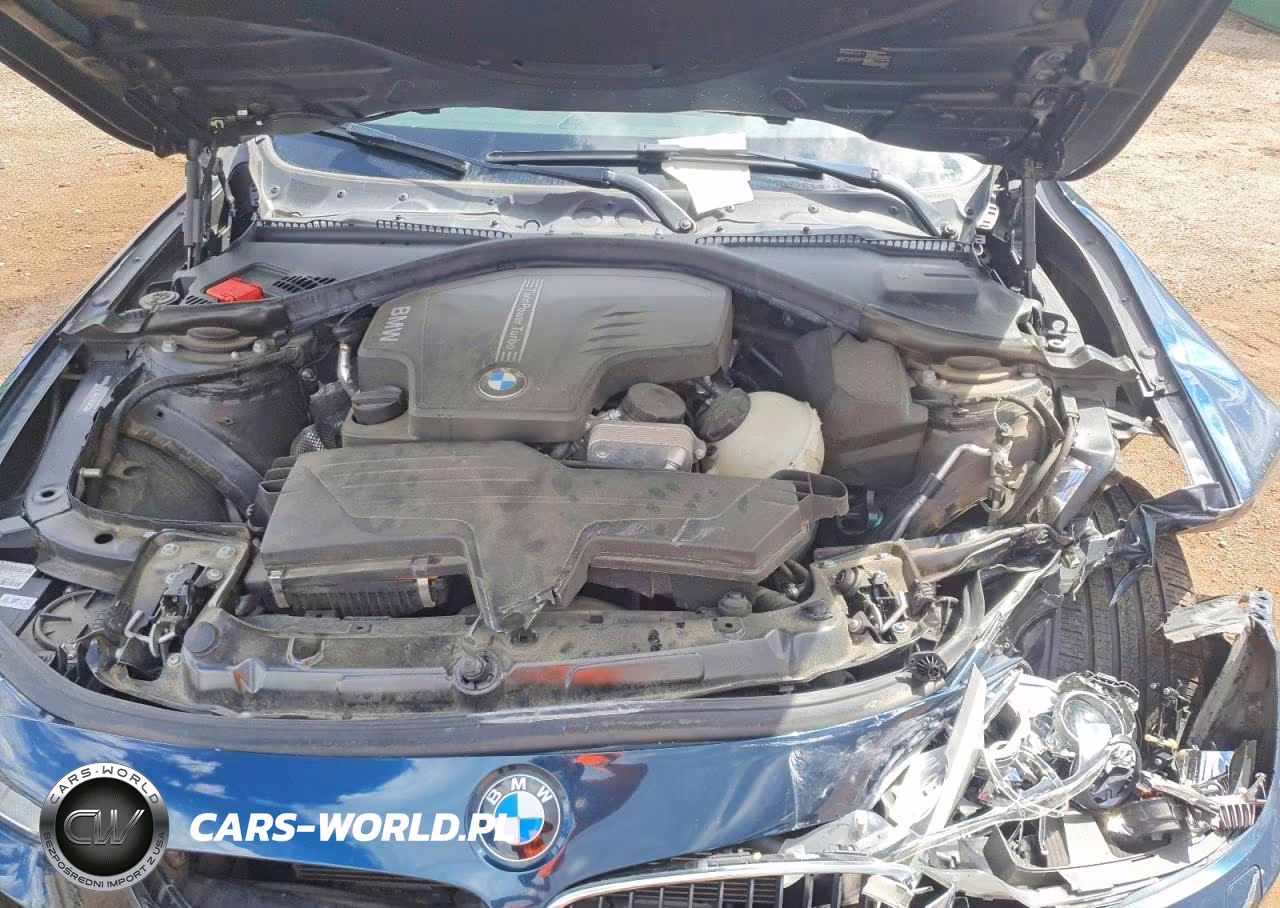 2014 BMW 428 Xi VIN:WBA3N5C50EK196419 - 11