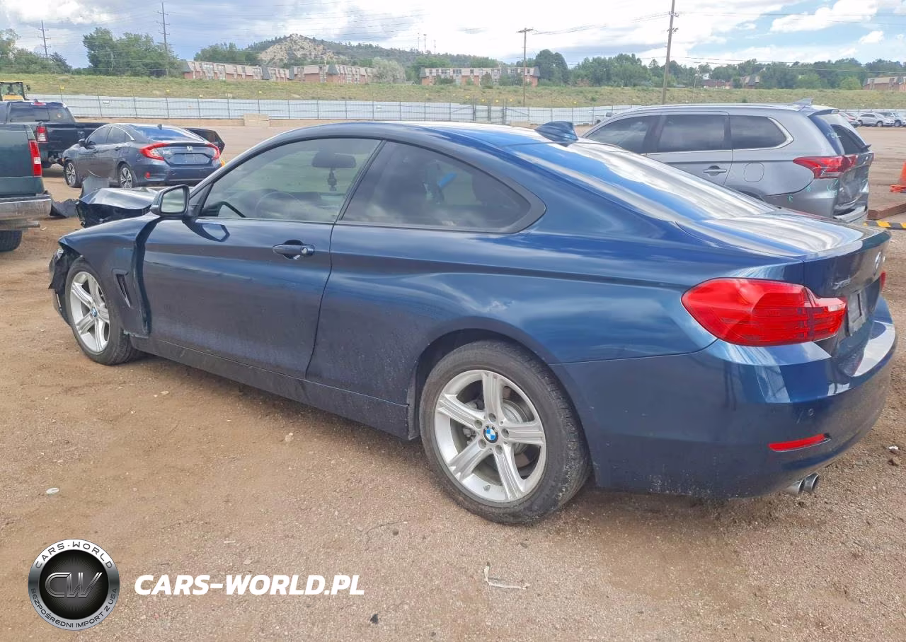 2014 BMW 428 Xi VIN:WBA3N5C50EK196419 - 2