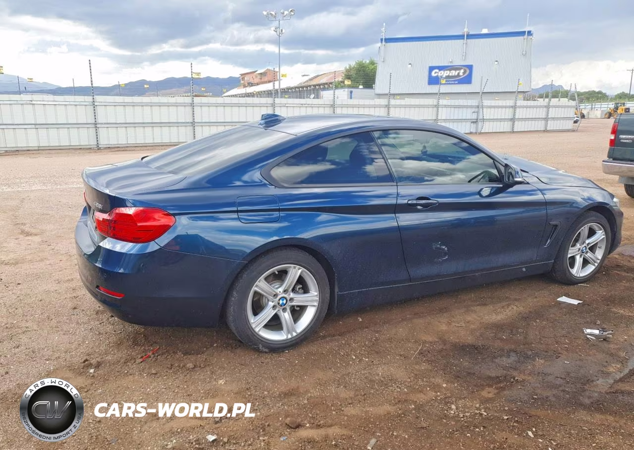2014 BMW 428 Xi VIN:WBA3N5C50EK196419 - 3