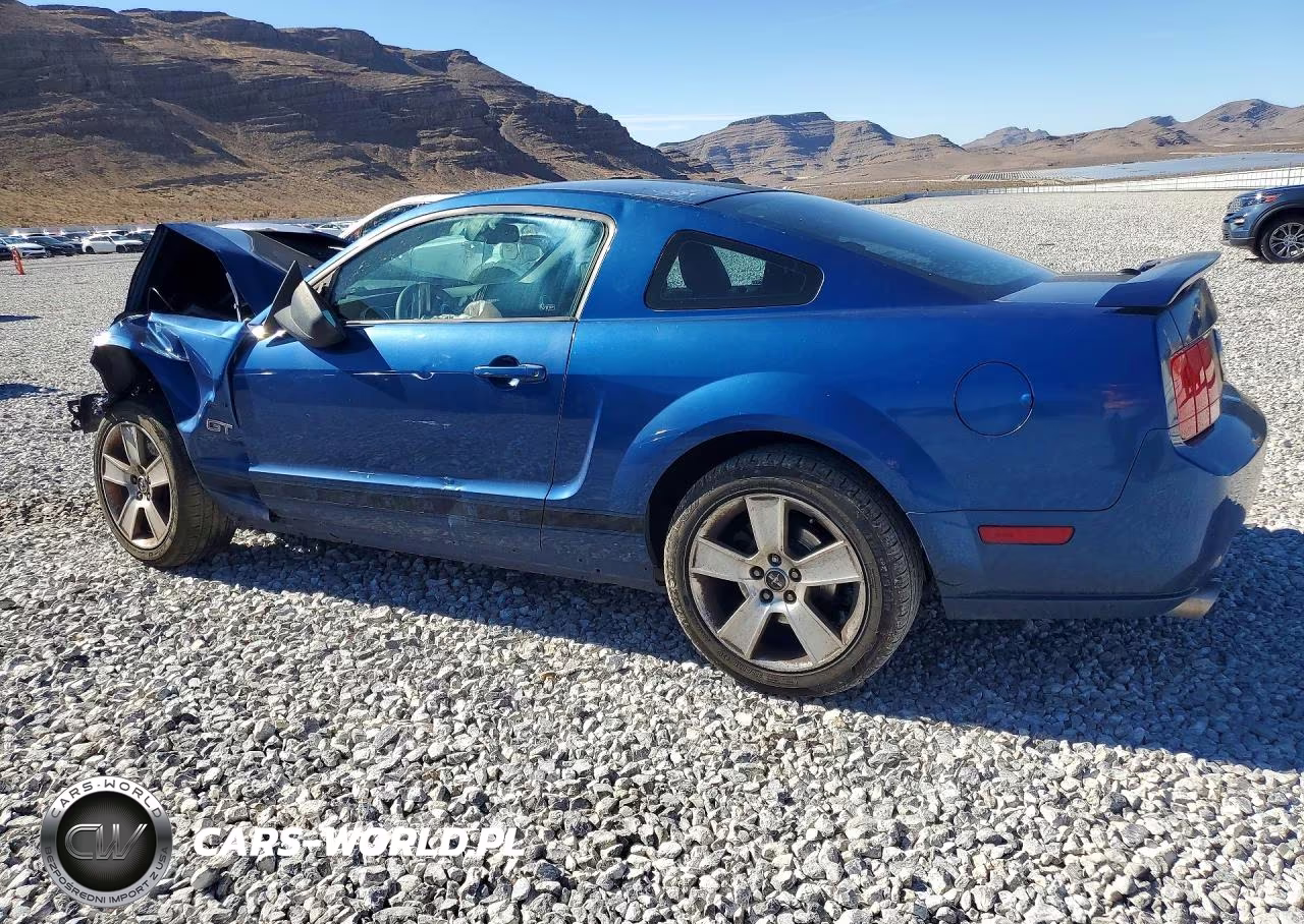2007 Ford Mustang Gt VIN:1ZVHT82H175266438 - 2