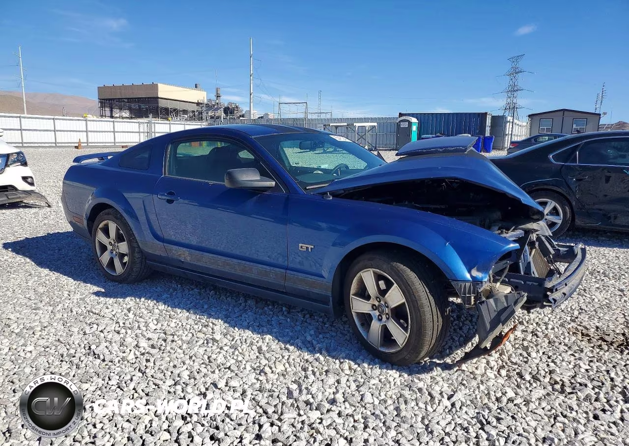 2007 Ford Mustang Gt VIN:1ZVHT82H175266438 - 4