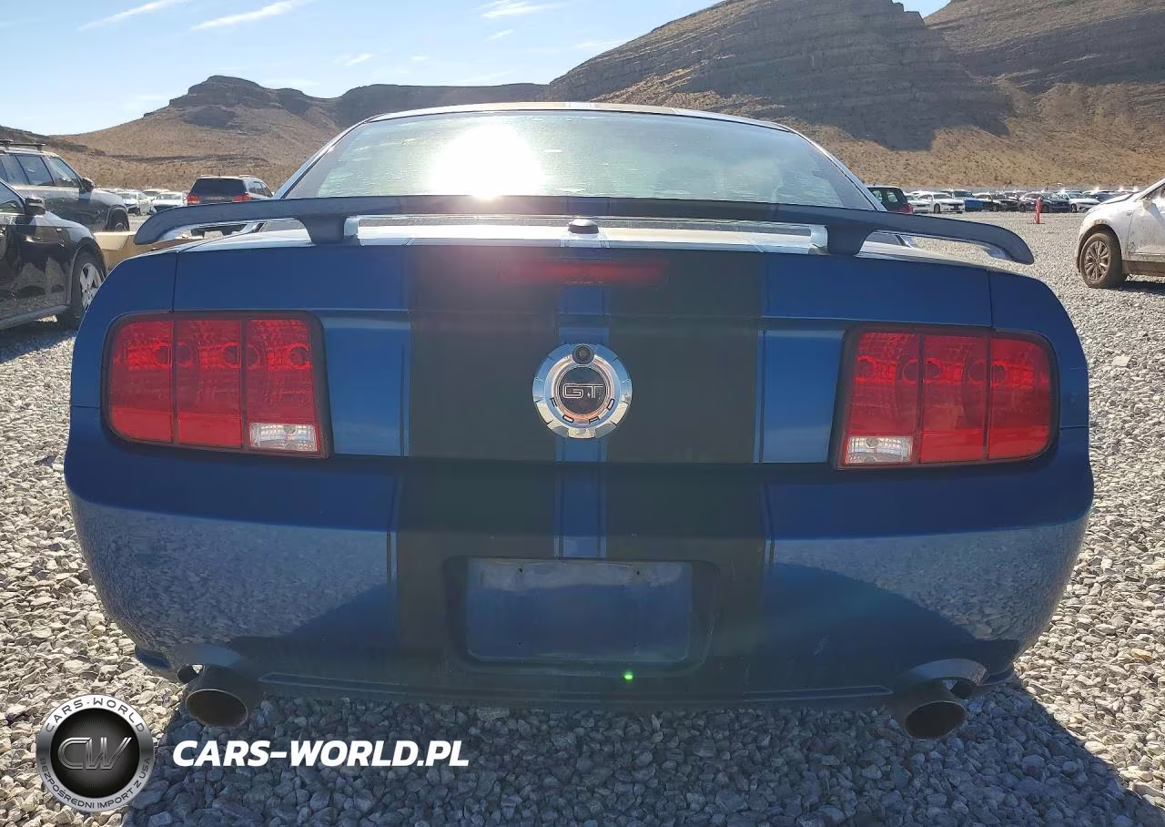 2007 Ford Mustang Gt VIN:1ZVHT82H175266438 - 6