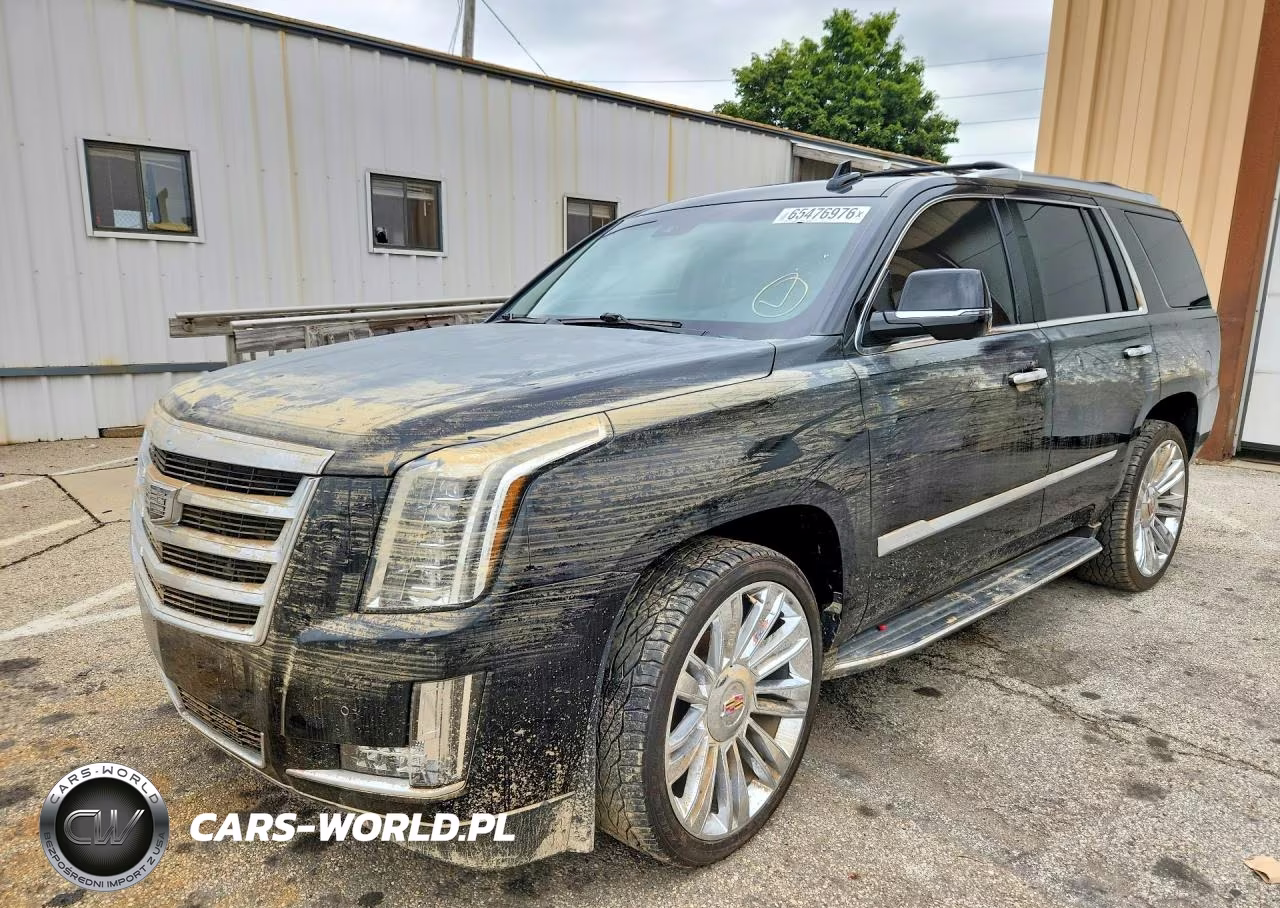 2017 Cadillac Escalade Luxury VIN:1GYS4BKJ7HR404624 - 1