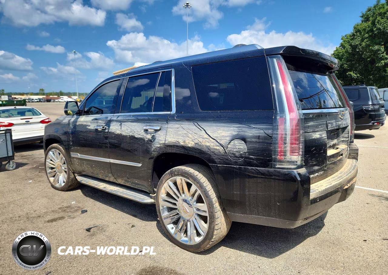 2017 Cadillac Escalade Luxury VIN:1GYS4BKJ7HR404624 - 2