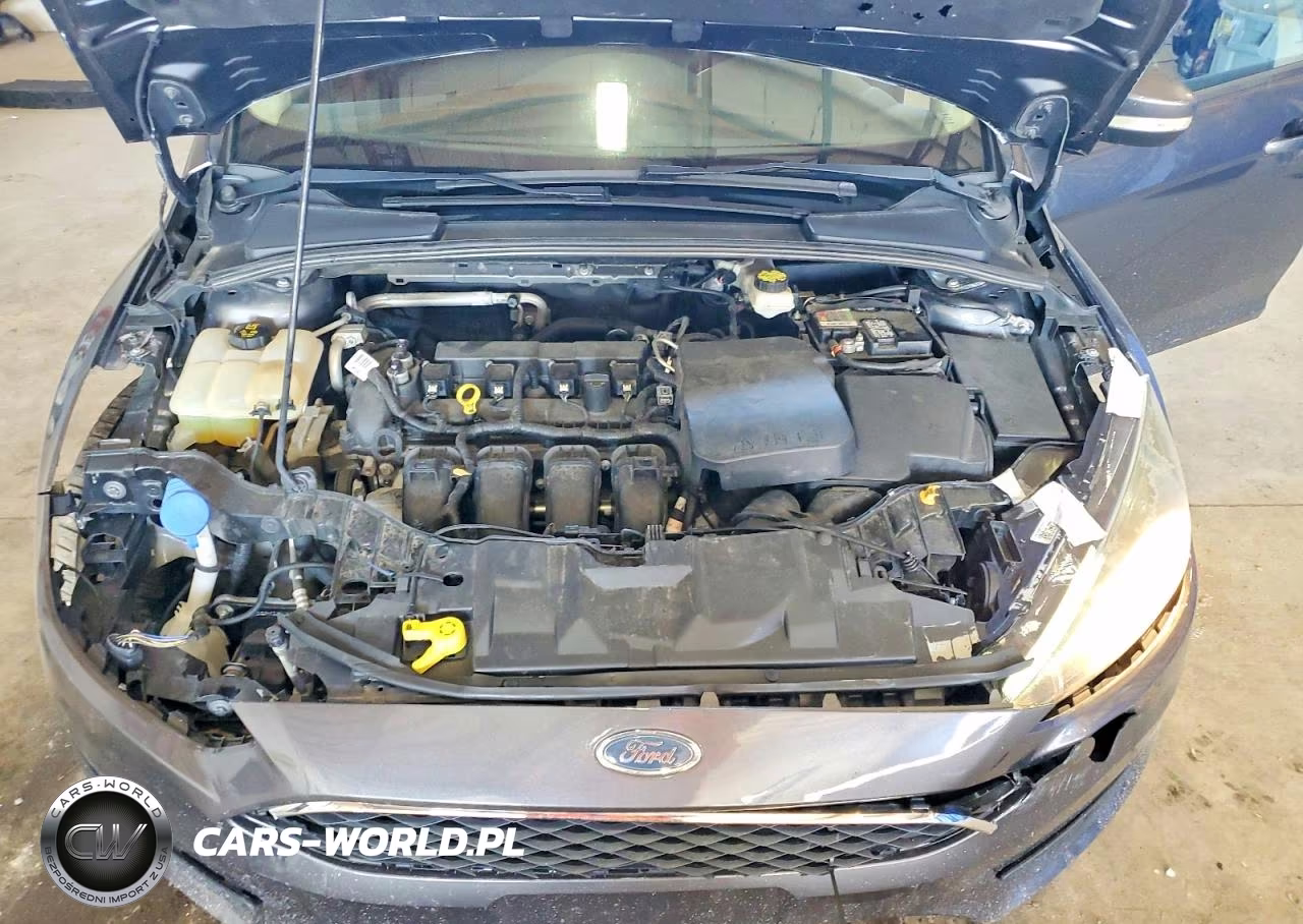2017 Ford Focus Sel VIN:1FADP3H2XHL248471 - 11
