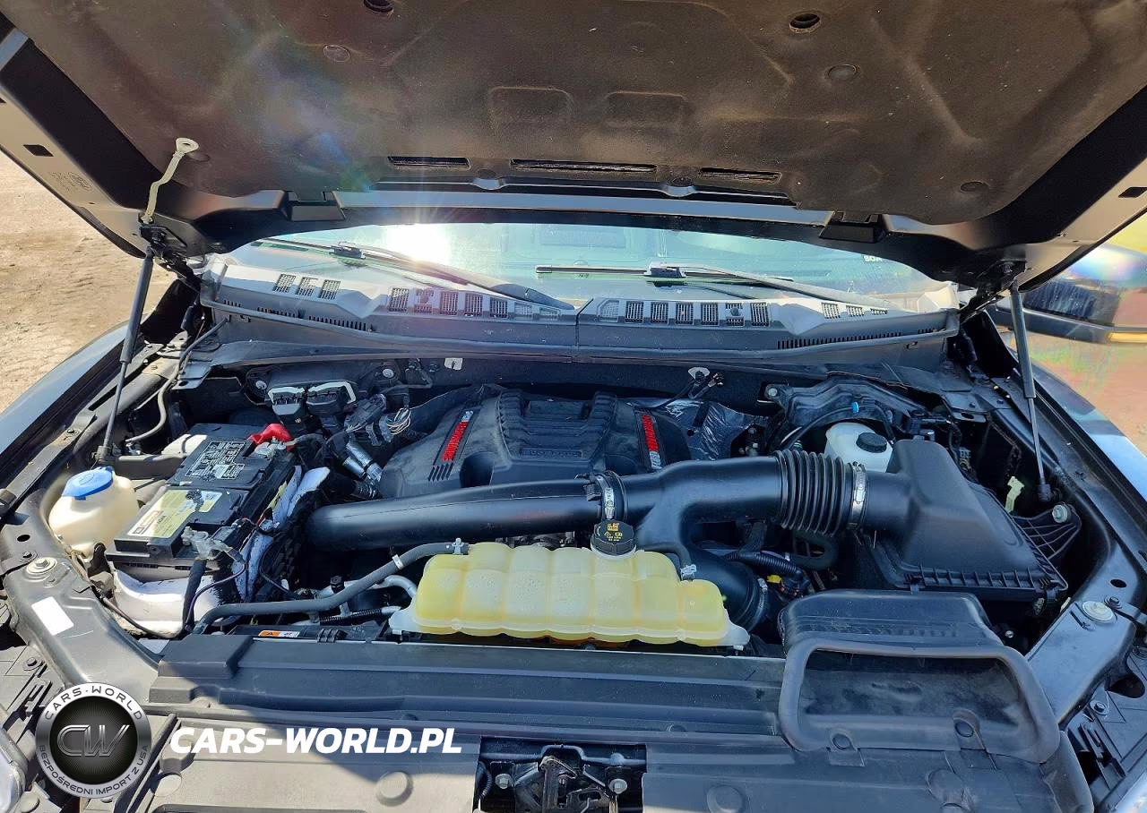 2019 Ford F150 Raptor VIN:1FTFW1RG0KFA53117 - 11