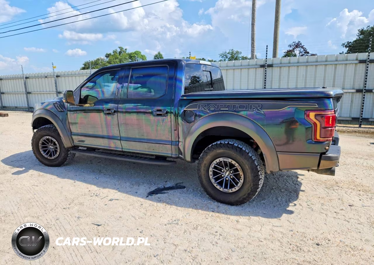 2019 Ford F150 Raptor VIN:1FTFW1RG0KFA53117 - 2