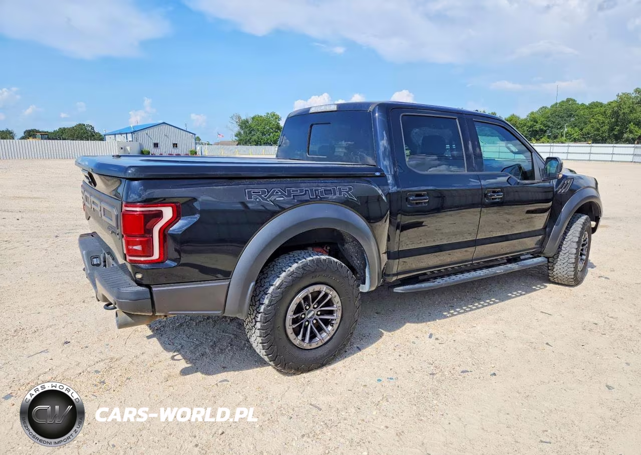 2019 Ford F150 Raptor VIN:1FTFW1RG0KFA53117 - 3