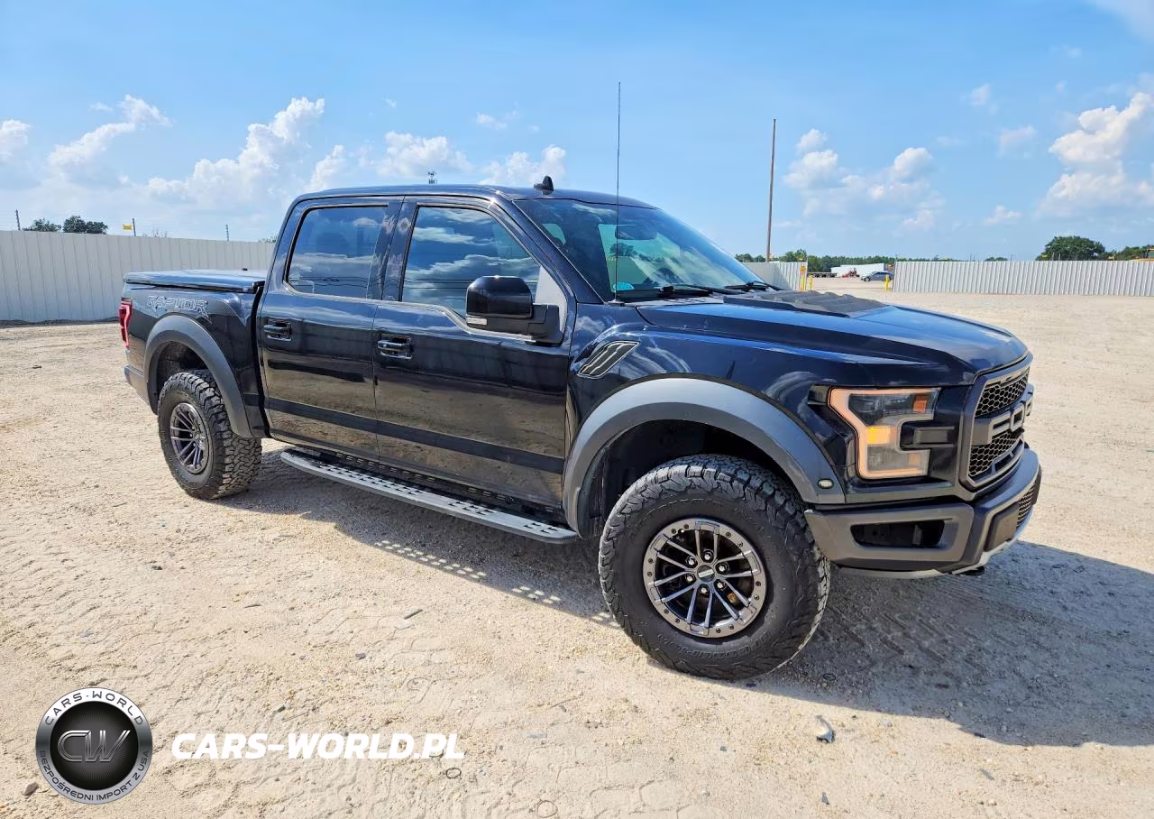 2019 Ford F150 Raptor VIN:1FTFW1RG0KFA53117 - 4