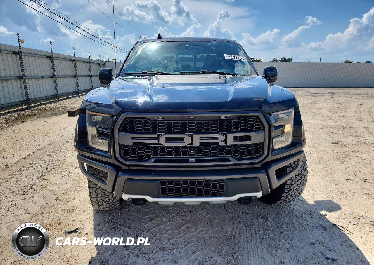 2019 Ford F150 Raptor VIN:1FTFW1RG0KFA53117 - 5