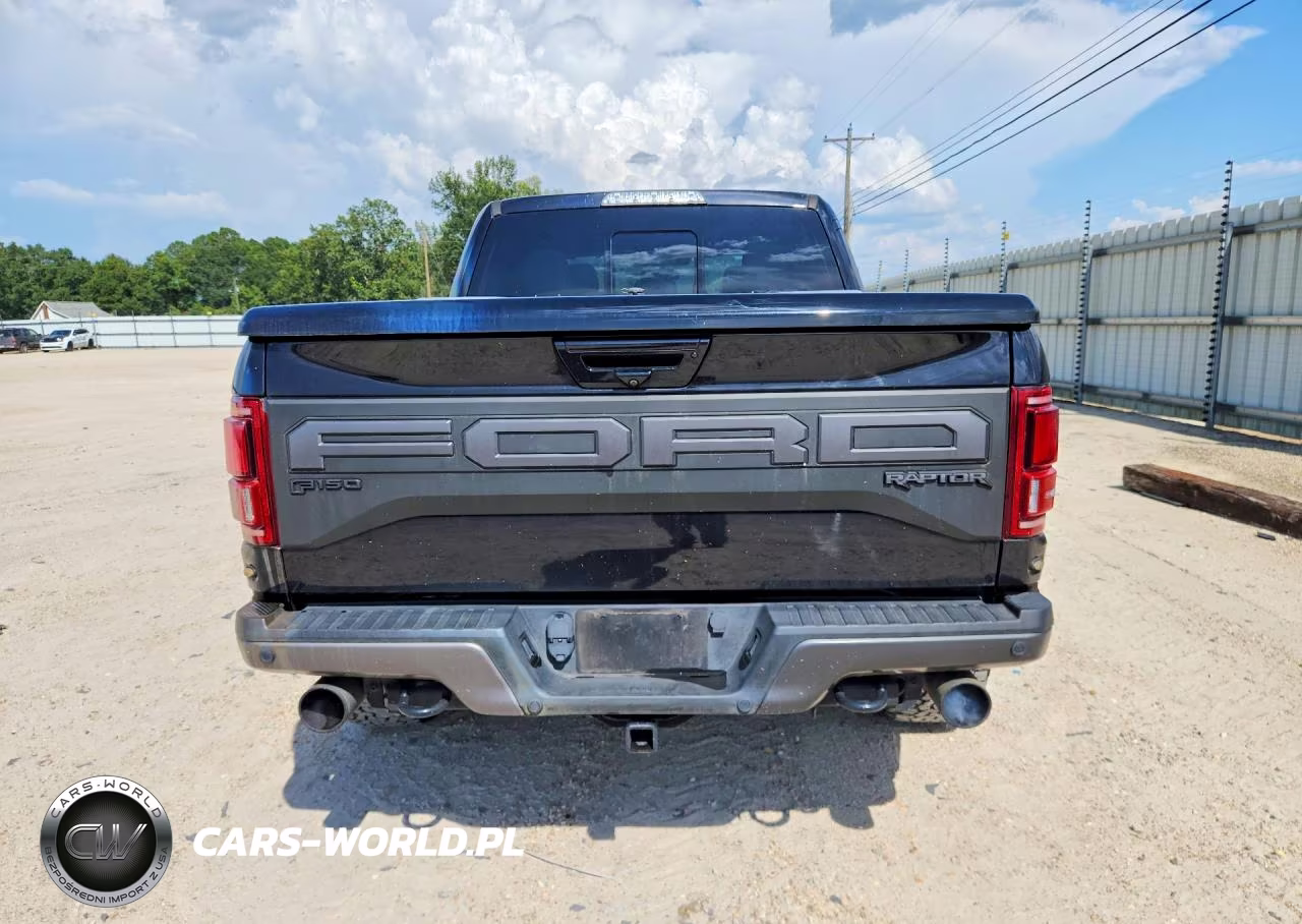 2019 Ford F150 Raptor VIN:1FTFW1RG0KFA53117 - 6