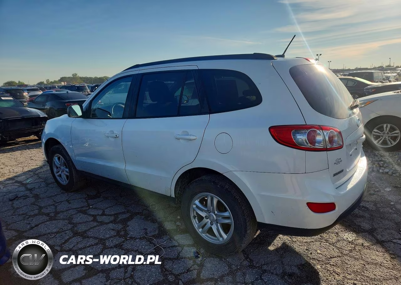 2010 Hyundai Santa Fe Gls VIN:5NMSGDAB6AH351461 - 2