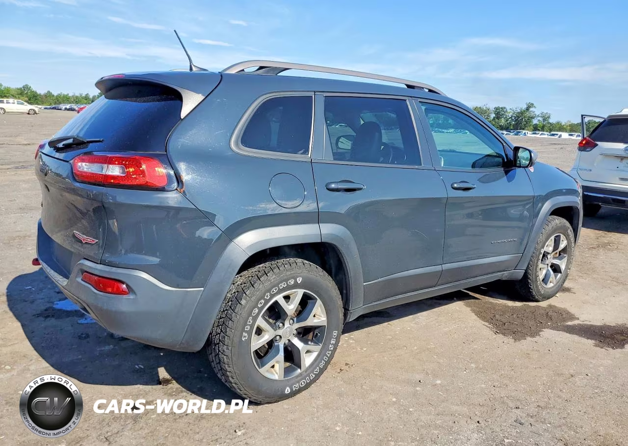 2016 Jeep Cherokee Trailhawk VIN:1C4PJMBSXGW252976 - 3