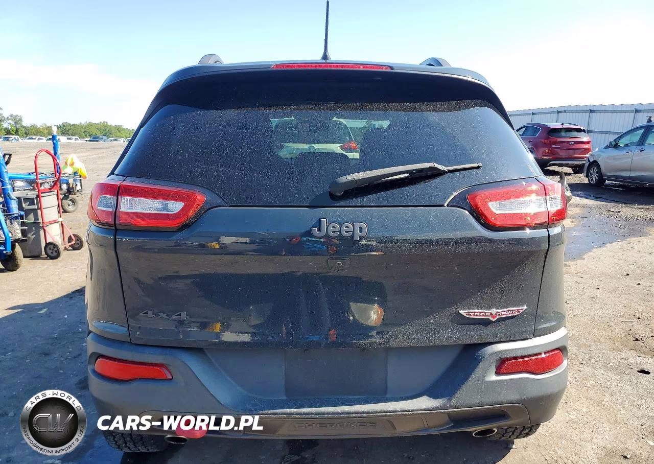 2016 Jeep Cherokee Trailhawk VIN:1C4PJMBSXGW252976 - 6