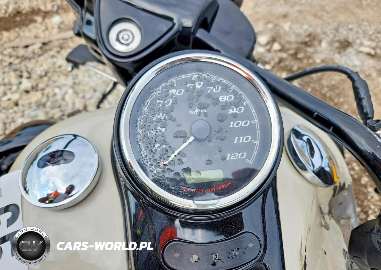 2023 Harley-Davidson Flrt VIN:1HD1MCP17PB850181 - 7
