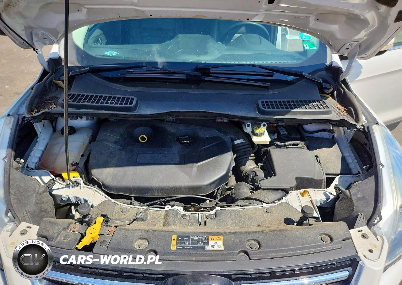 2014 Ford Escape Titanium VIN:1FMCU9J91EUE31803 - 12