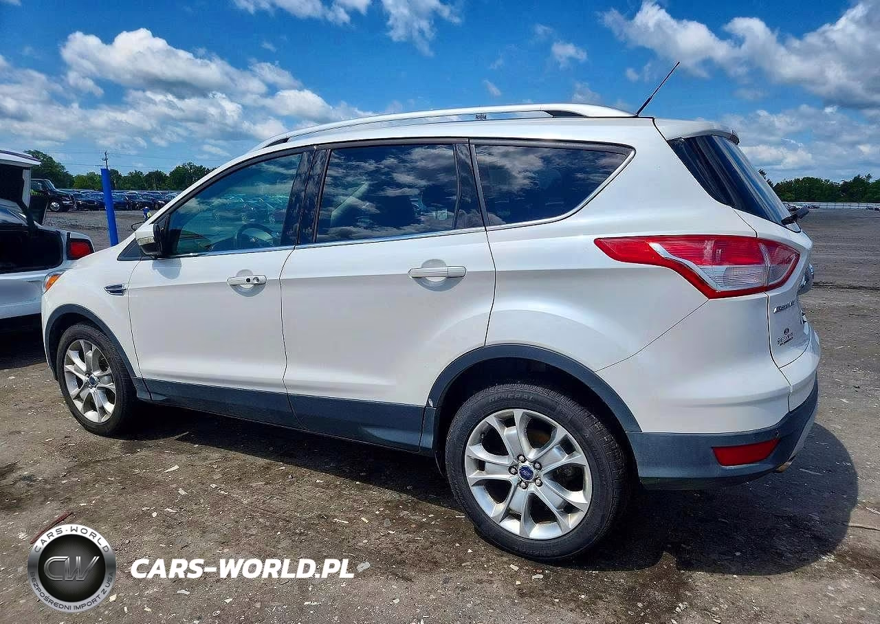 2014 Ford Escape Titanium VIN:1FMCU9J91EUE31803 - 2