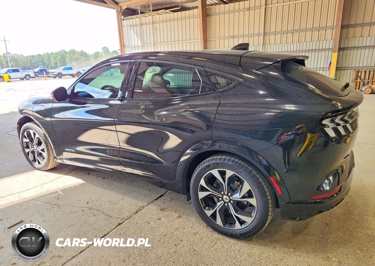 2021 Ford Mustang Mach-E Premium VIN:3FMTK3R74MMA43196 - 2