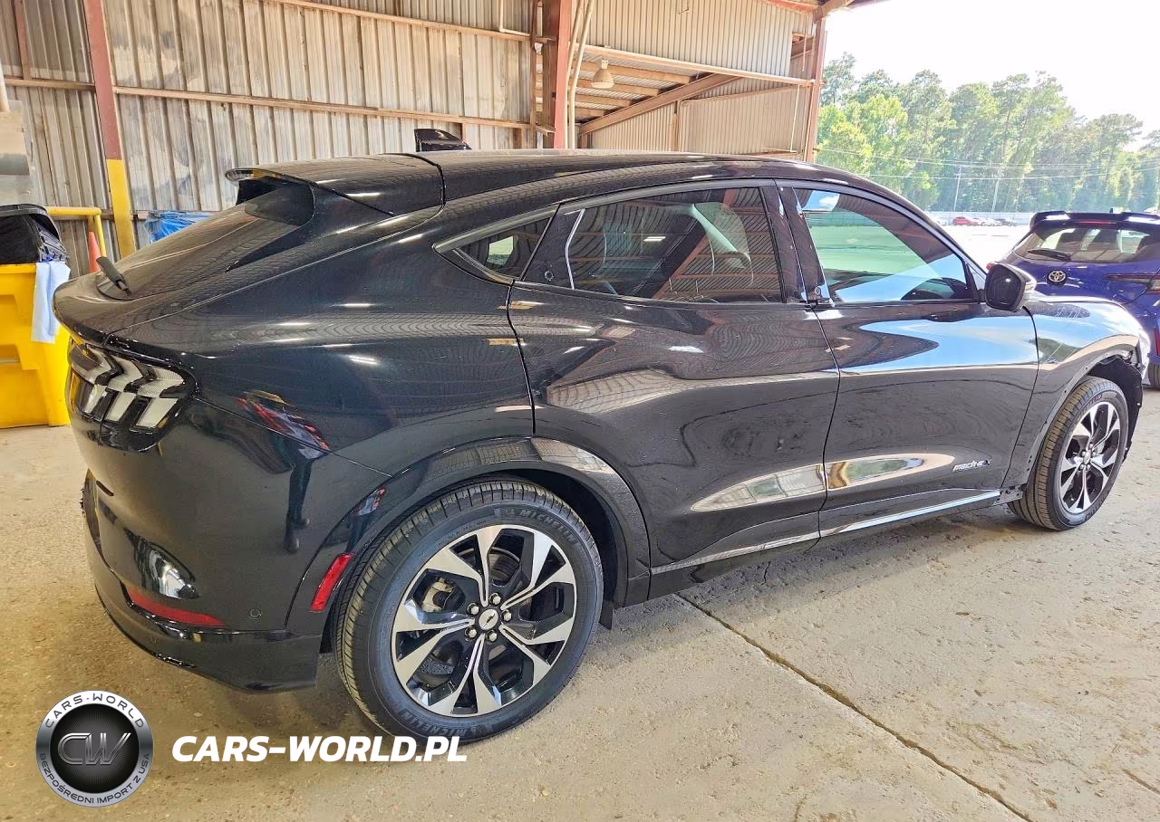 2021 Ford Mustang Mach-E Premium VIN:3FMTK3R74MMA43196 - 3