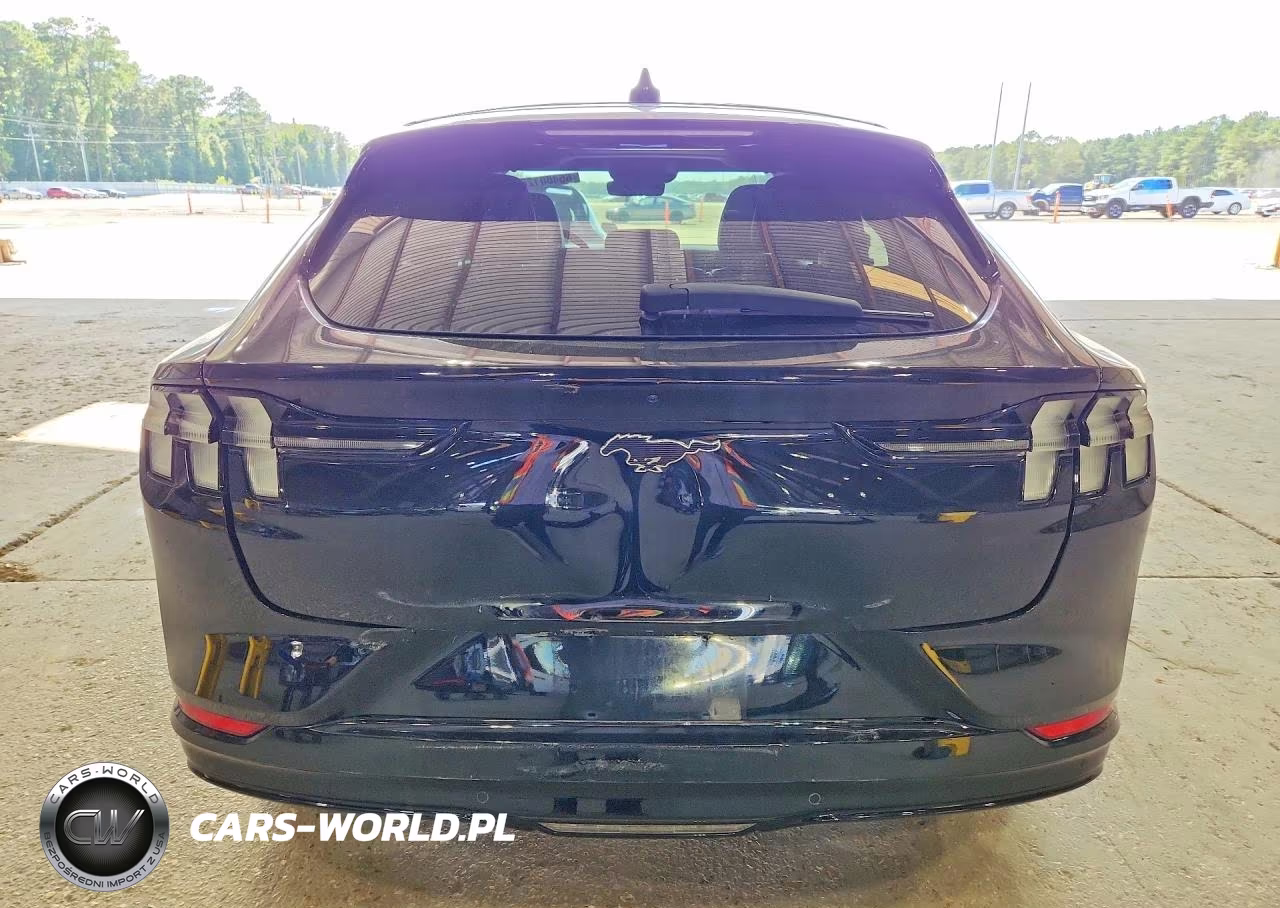 2021 Ford Mustang Mach-E Premium VIN:3FMTK3R74MMA43196 - 6