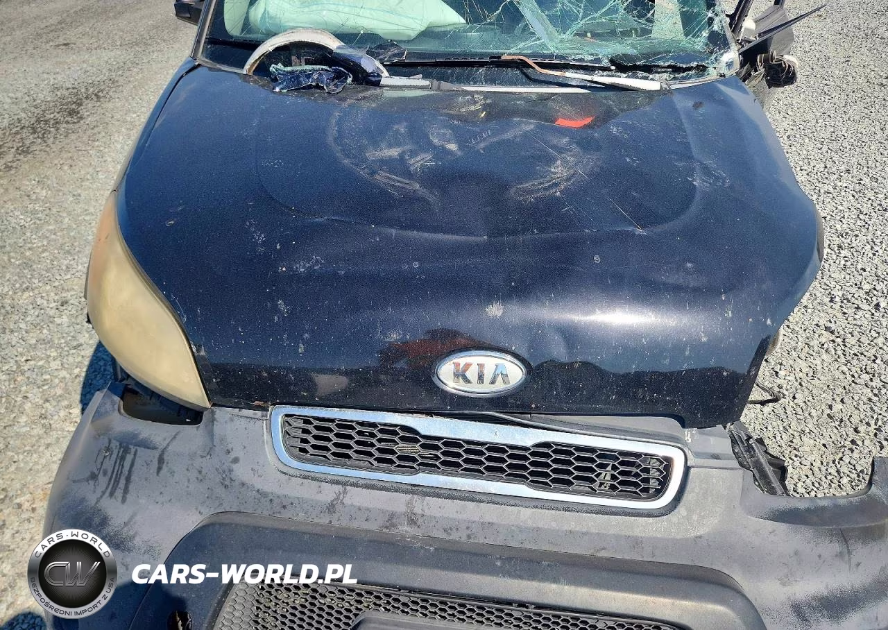 2010 Kia Soul Base VIN:KNDJT2A19A7137459 - 12