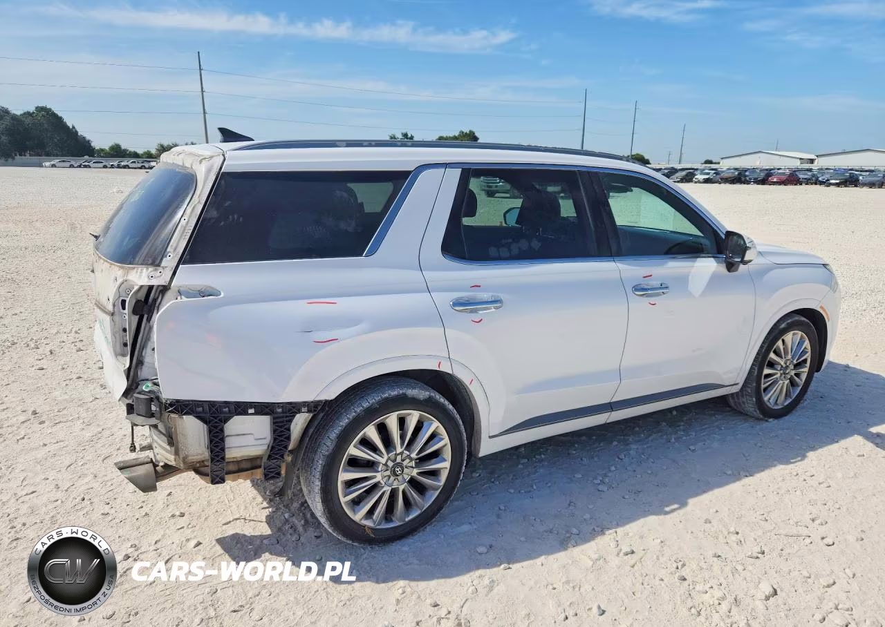 2020 Hyundai Palisade Limited VIN:KM8R54HE2LU042792 - 3