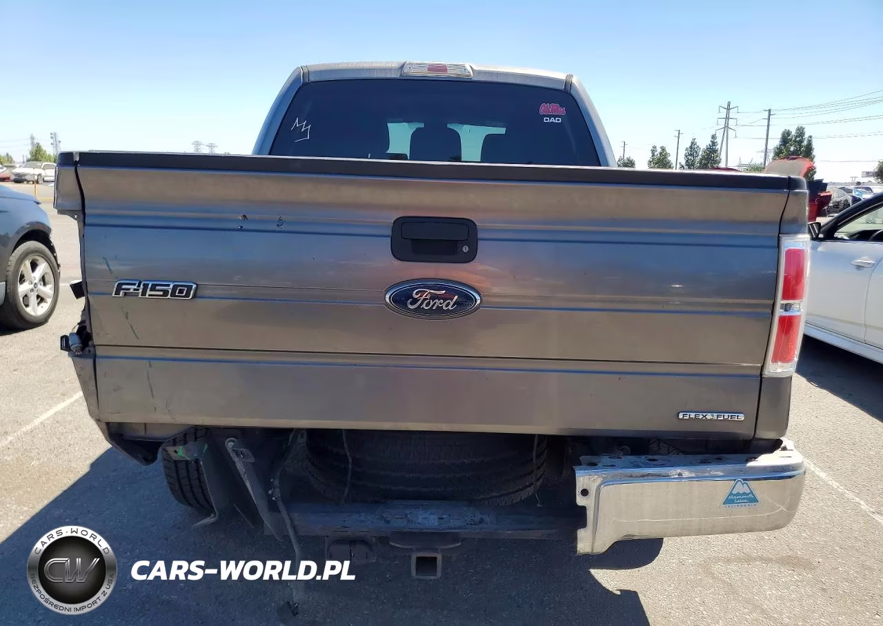 2012 Ford F150 Supercrew VIN:1FTEW1CM7CFD06686 - 6
