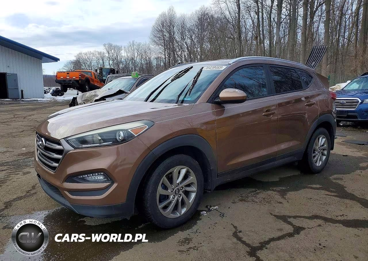 2016 Hyundai Tucson Limited VIN:KM8J33A43GU033491 - 1