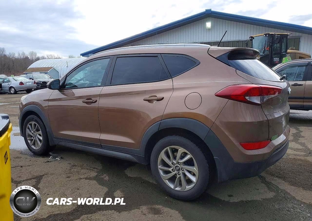 2016 Hyundai Tucson Limited VIN:KM8J33A43GU033491 - 2