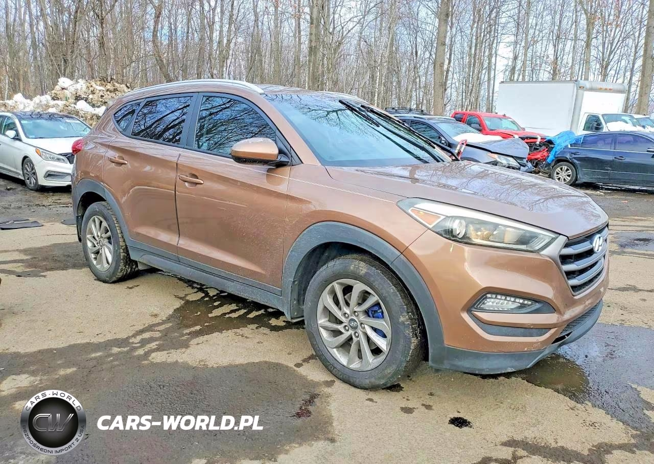 2016 Hyundai Tucson Limited VIN:KM8J33A43GU033491 - 4