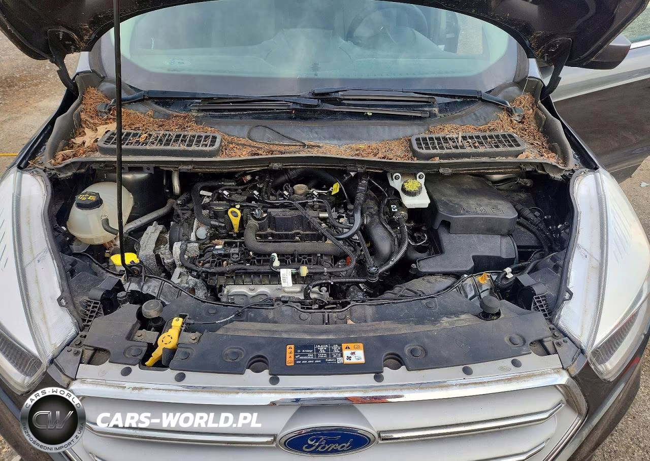 2019 Ford Escape Se VIN:1FMCU0GD8KUB13082 - 12
