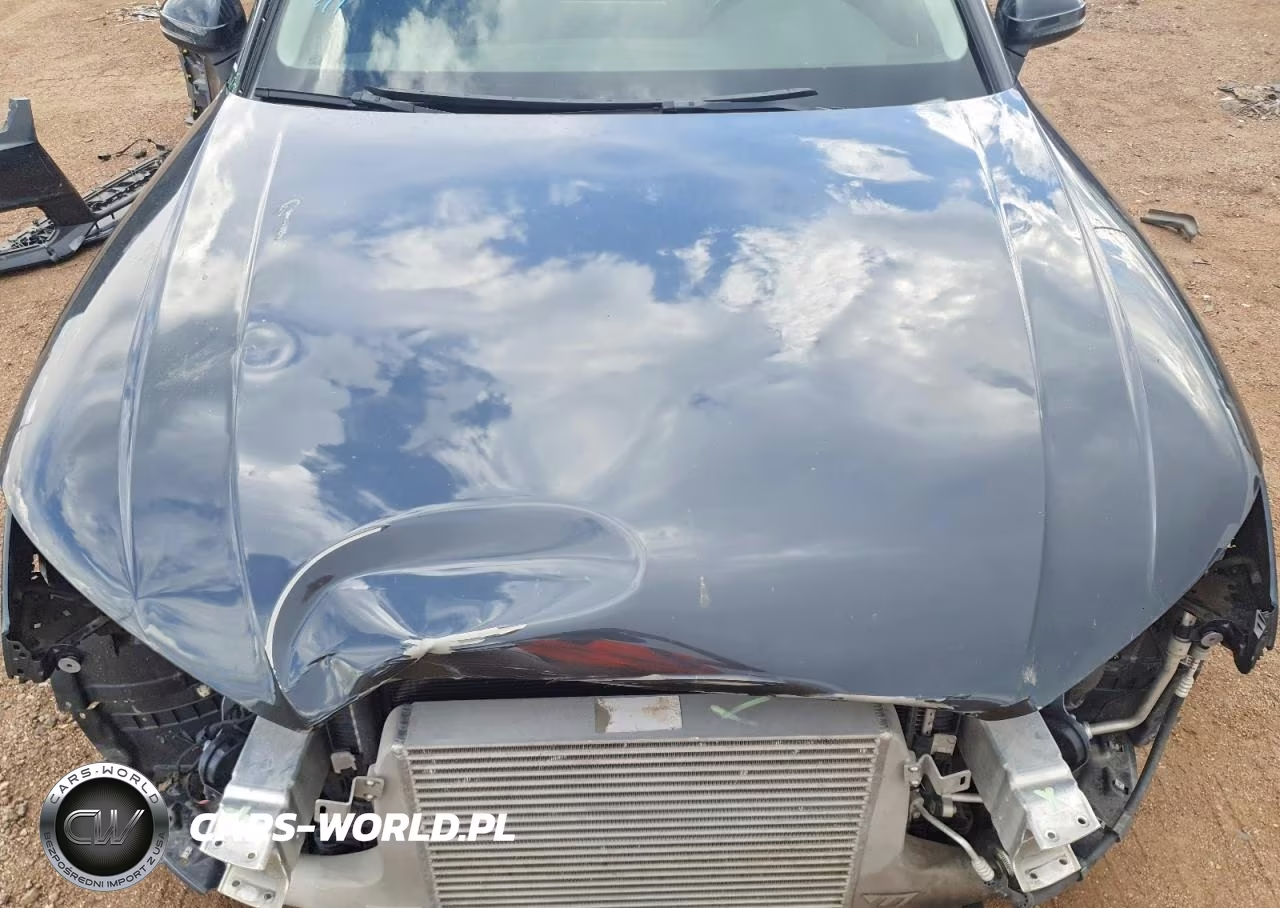 2017 Audi A4 Premium Plus VIN:WAUENAF40HN019358 - 11