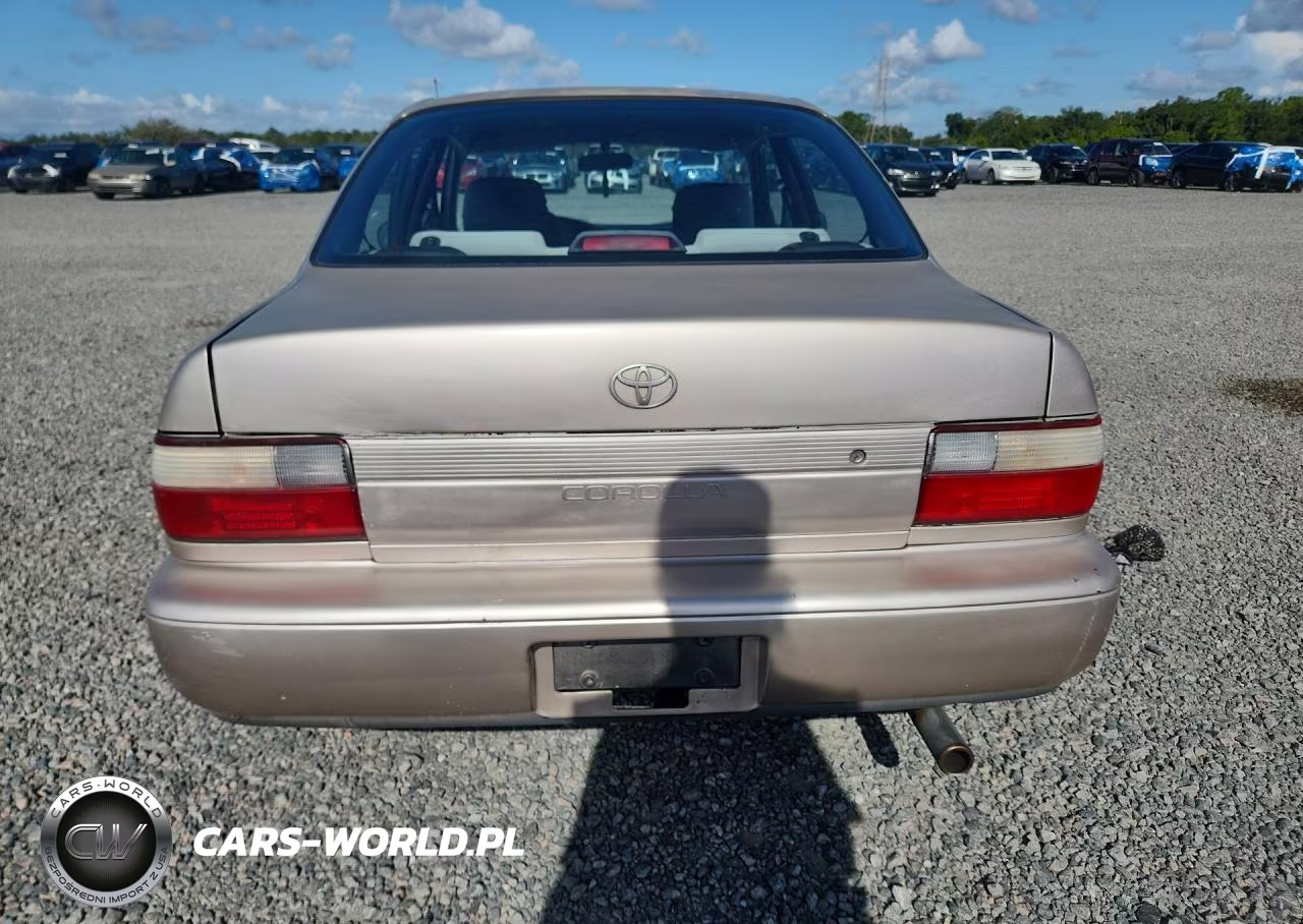 1994 Toyota Corolla Dx VIN:1NXAE09B2RZ193165 - 6
