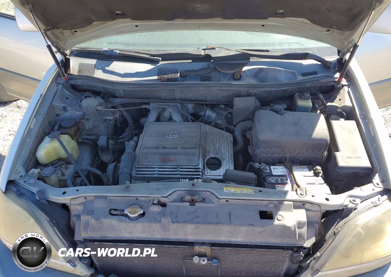 1999 Lexus Rx 300 Base VIN:JT6GF10U3X0012814 - 12
