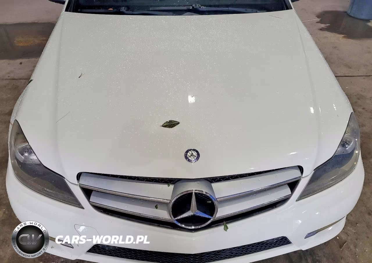 2012 Mercedes-Benz C 250 VIN:WDDGJ4HB5CF746363 - 11