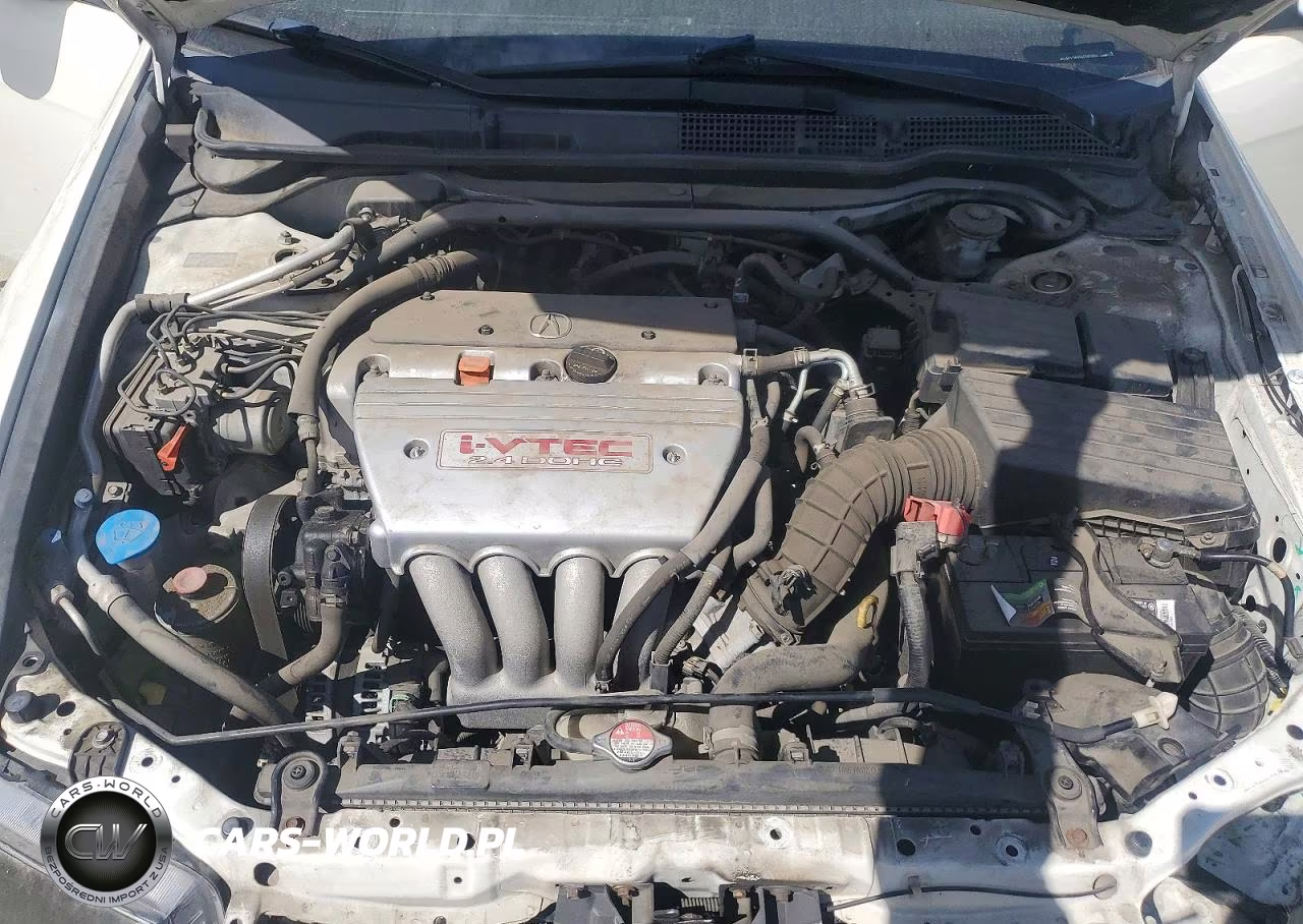 2006 Acura Tsx VIN:JH4CL96936C010283 - 11