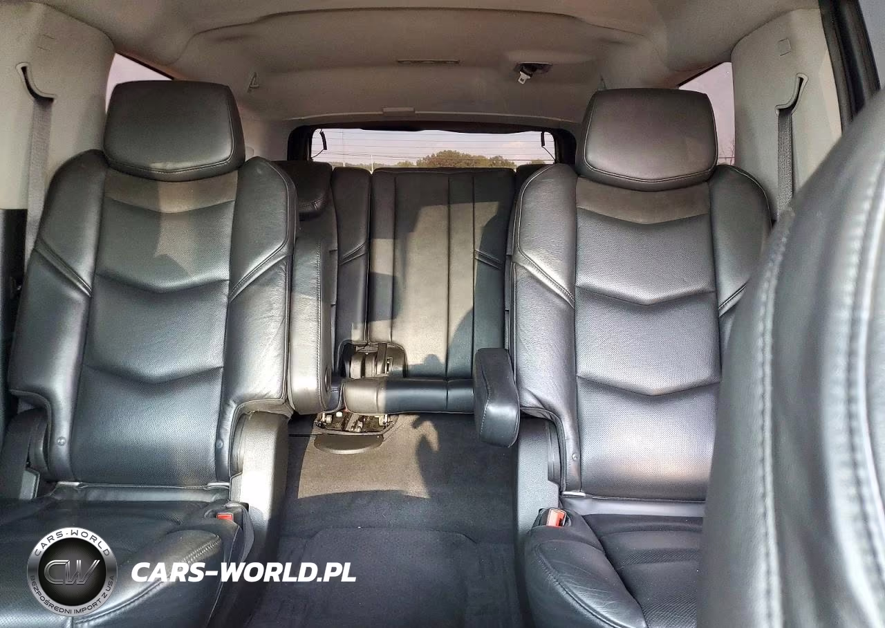2020 Cadillac Escalade Esv Luxury VIN:1GYS4HKJ4LR259781 - 10