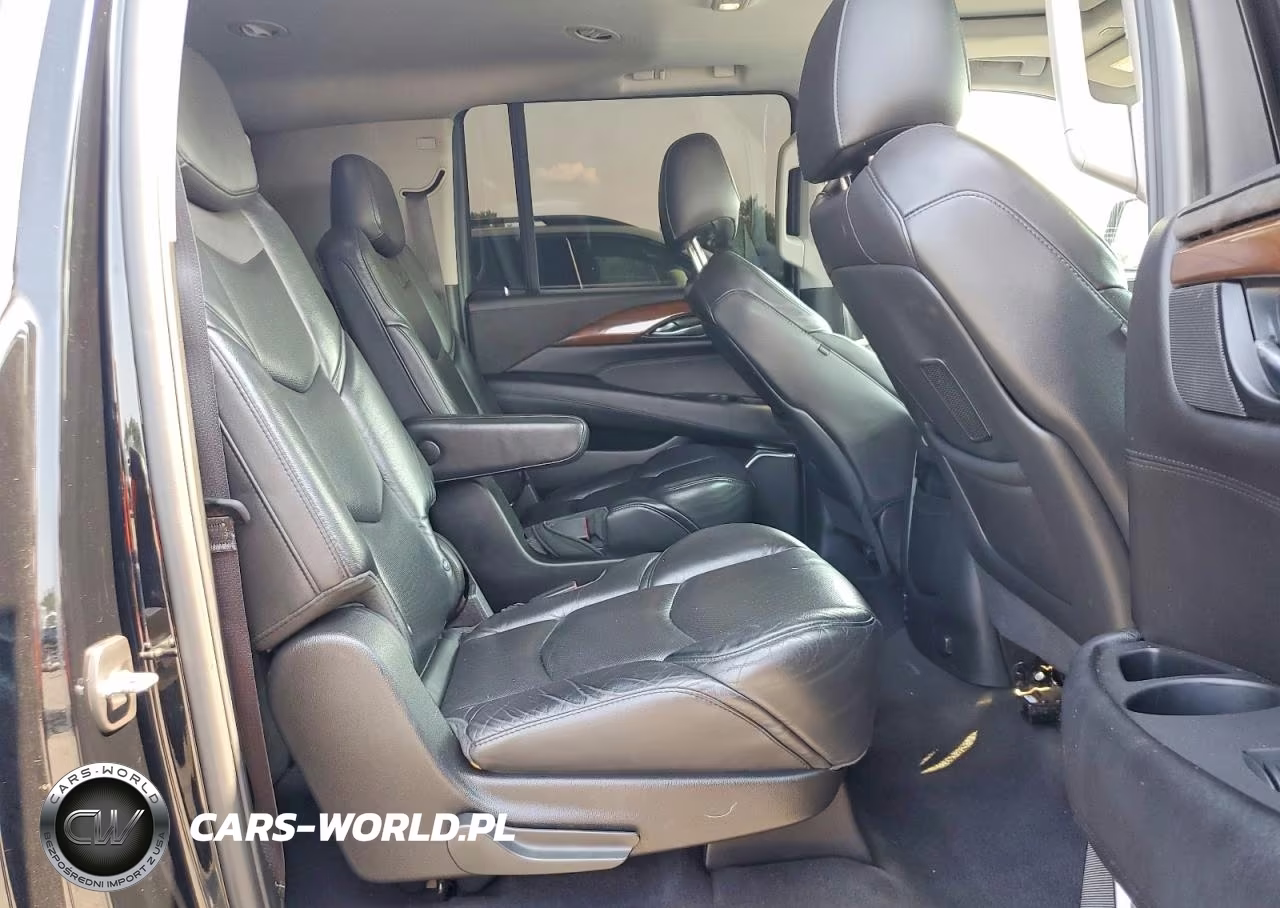 2020 Cadillac Escalade Esv Luxury VIN:1GYS4HKJ4LR259781 - 11