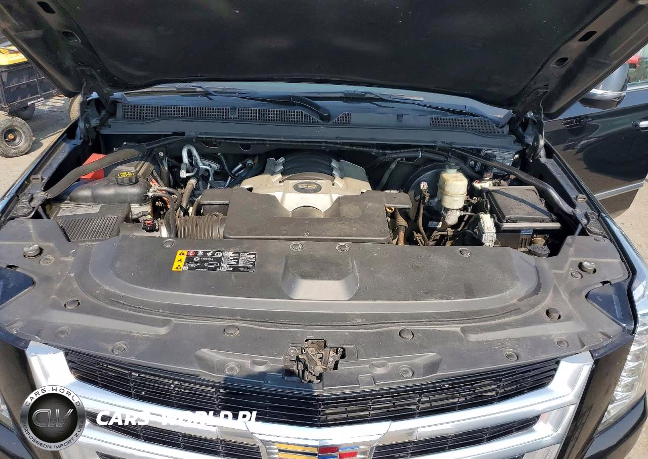 2020 Cadillac Escalade Esv Luxury VIN:1GYS4HKJ4LR259781 - 12