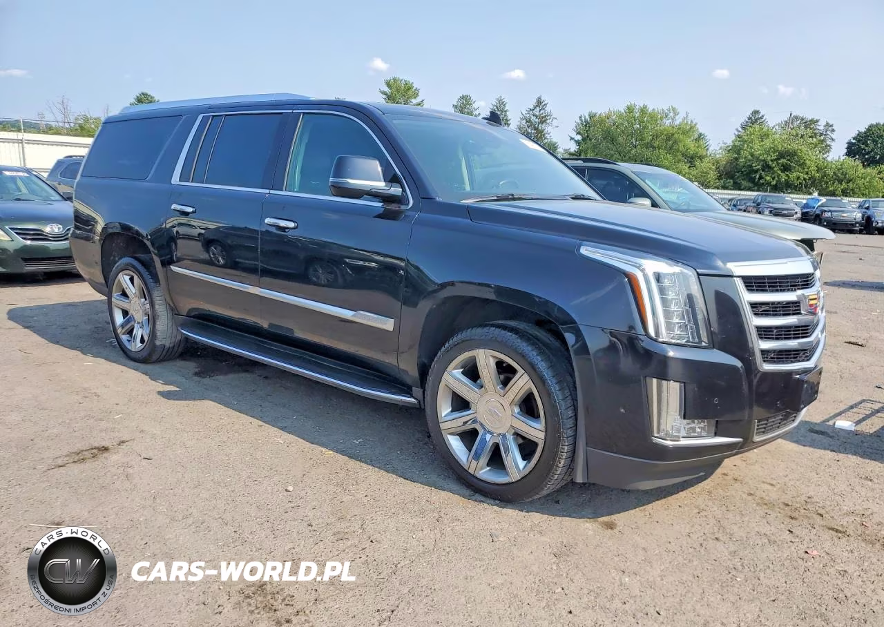 2020 Cadillac Escalade Esv Luxury VIN:1GYS4HKJ4LR259781 - 4