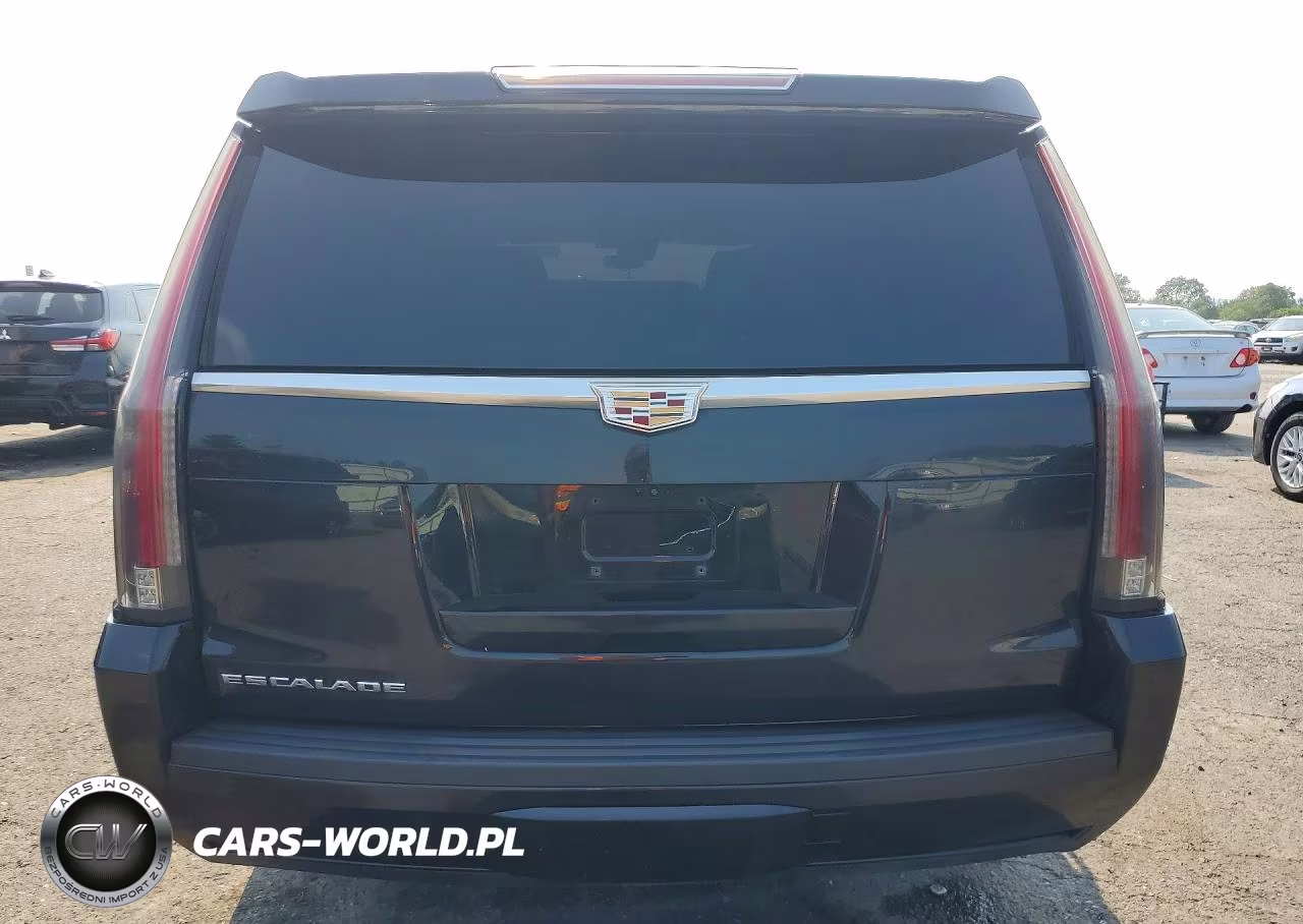 2020 Cadillac Escalade Esv Luxury VIN:1GYS4HKJ4LR259781 - 6