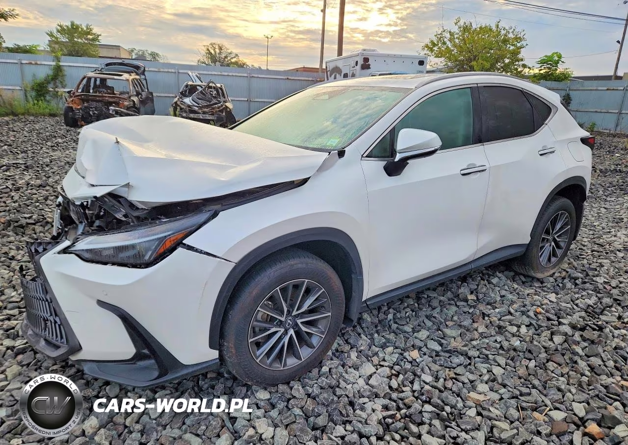 2025 Lexus Nx 250 Base VIN:2T2ADCEZ9SC005509 - 1